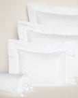Federico queen, standard, boudoir, and neckroll shams in white/white