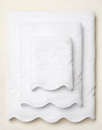 variant__white/white
