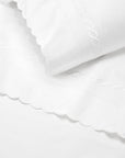 variant__white/white