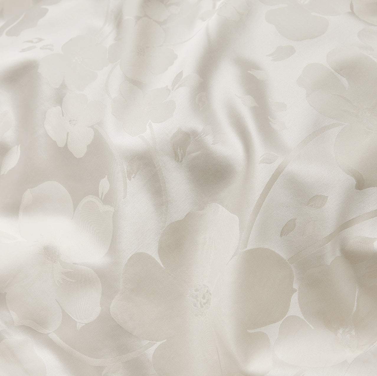 Anemone texture close up